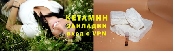 шишки Белокуриха