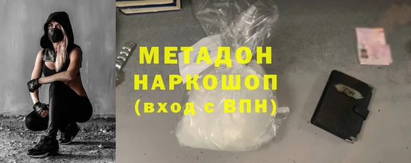 шишки Белокуриха