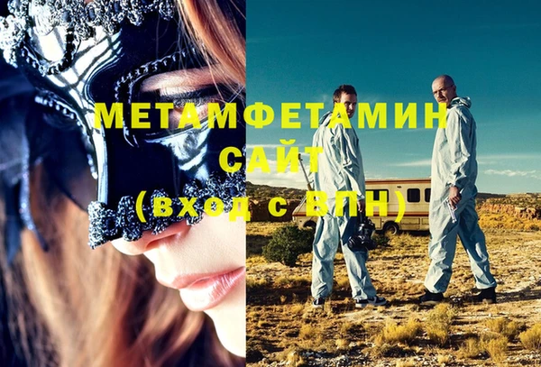 шишки Белокуриха