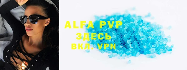 шишки Белокуриха