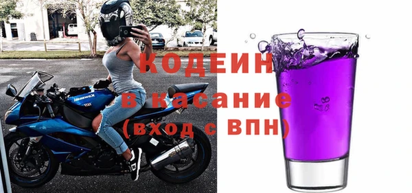 шишки Белокуриха