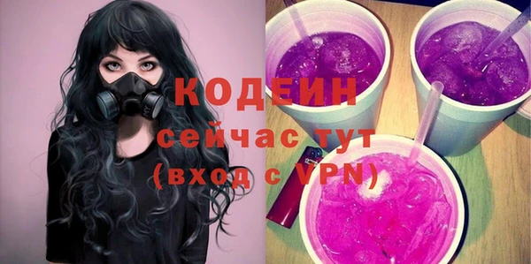 шишки Белокуриха