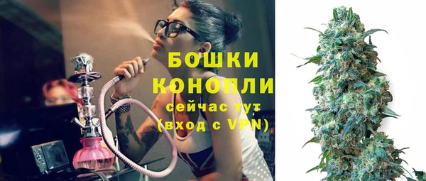шишки Белокуриха