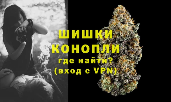 шишки Белокуриха