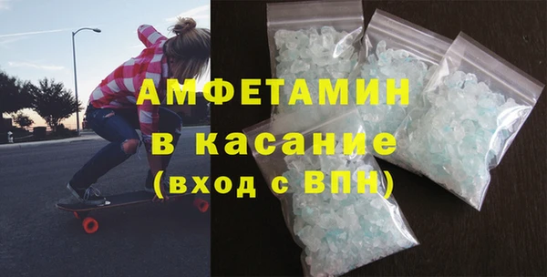 шишки Белокуриха