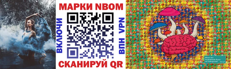 дарнет шоп  OMG вход  Марки N-bome 1500мкг  Городец 