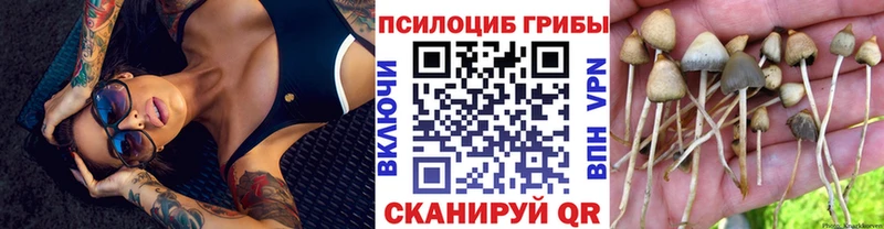 дарк нет формула  Городец  Псилоцибиновые грибы GOLDEN TEACHER  хочу наркоту 
