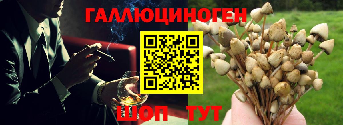 Псилоцибиновые грибы мухоморы Городец