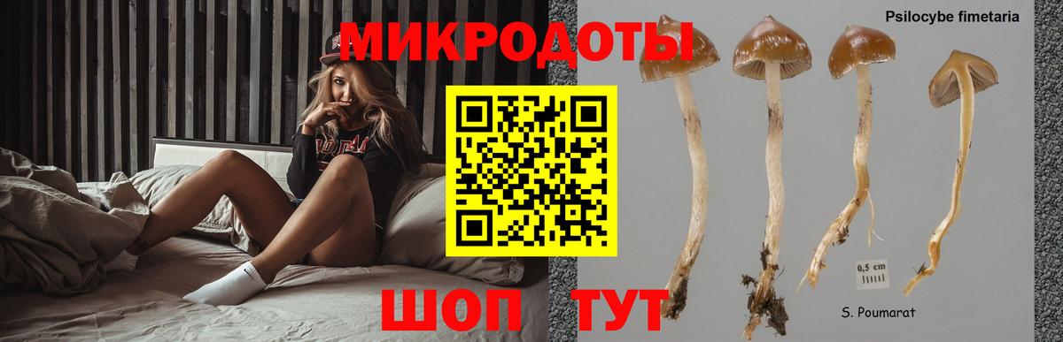 Городец  Галлюциногенные грибы Cubensis  Вход с VPN 